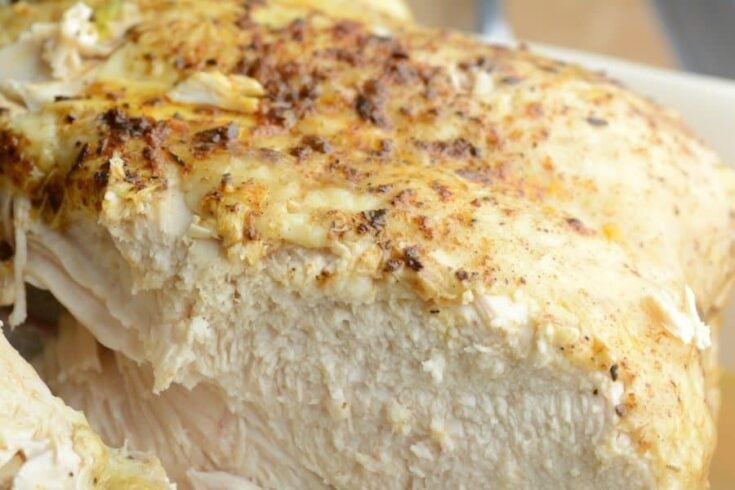 The World's Most Moist Chicken Ever