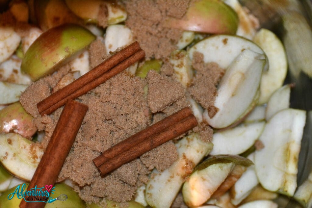 instant pot hot apple cider