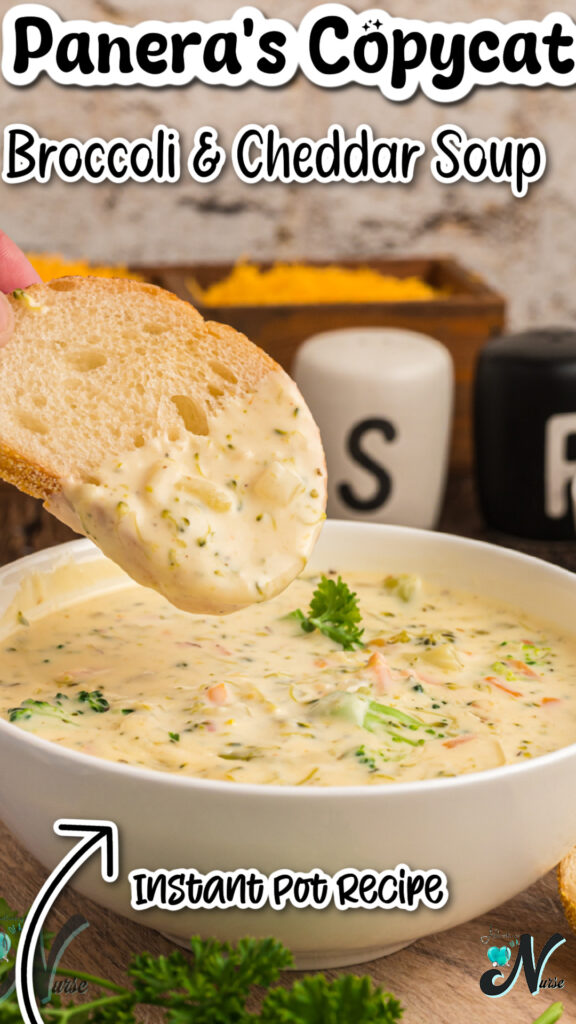 Panera's Broccoli Cheddar Soup PIn