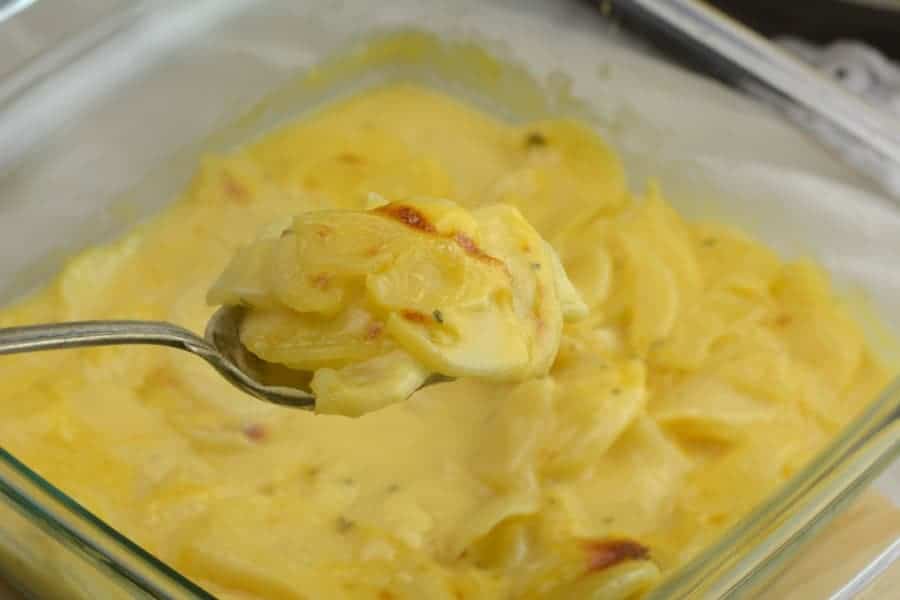 potatoes on a spoon