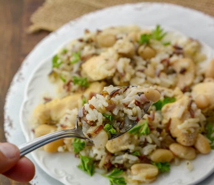 Instant Pot Chicken and Wild Rice