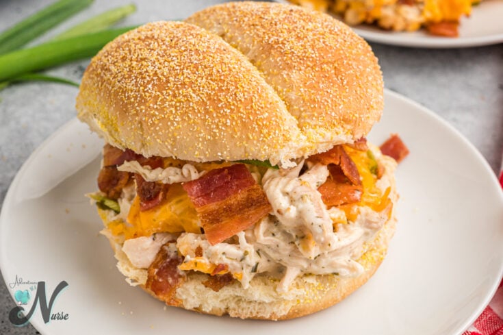 Crack Chicken on bun