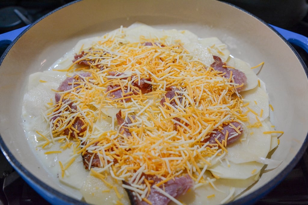 top-layer-with-cheddar-cheese