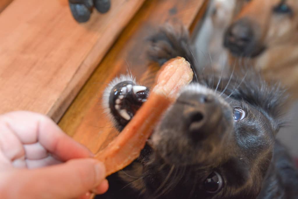 Ninja Foodi Chicken Jerky Treats for Dogs