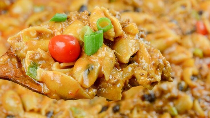 One Pot Cheesy Taco Pasta (3)