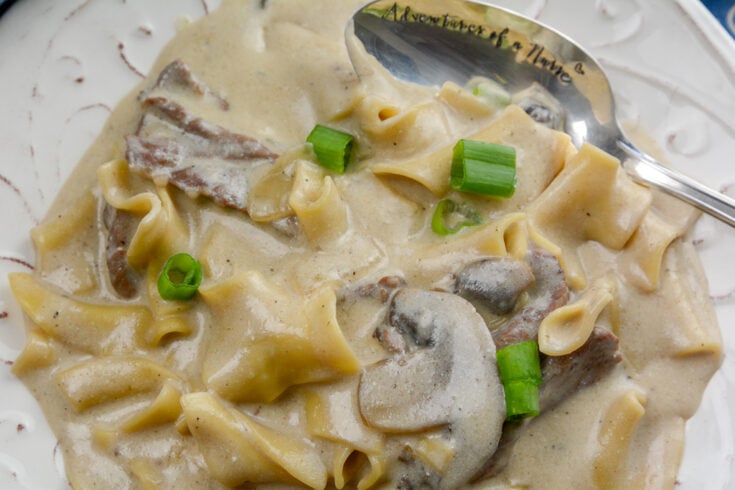 instant-pot-stroganoff