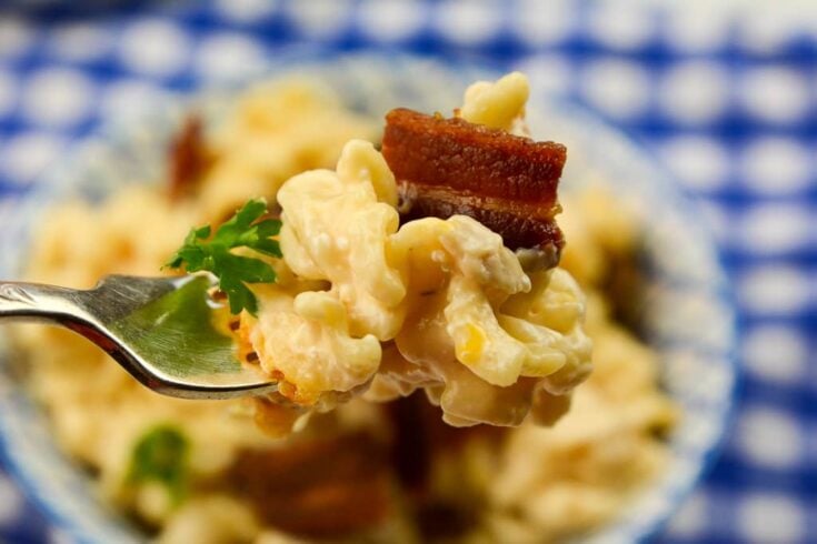 Instant Pot Crack Pasta fork