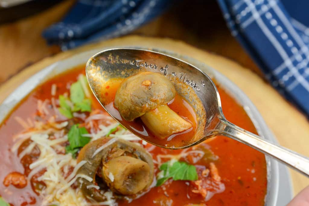 Mushroom Stew Instant Pot