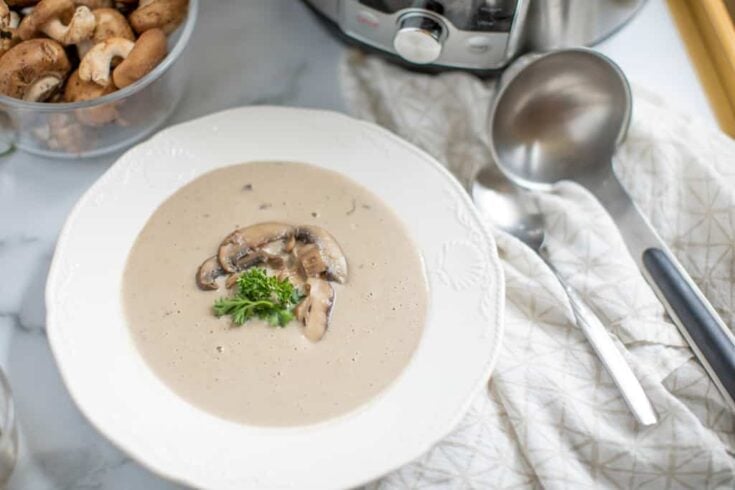 Instant Pot Cream of Mushroom Soup