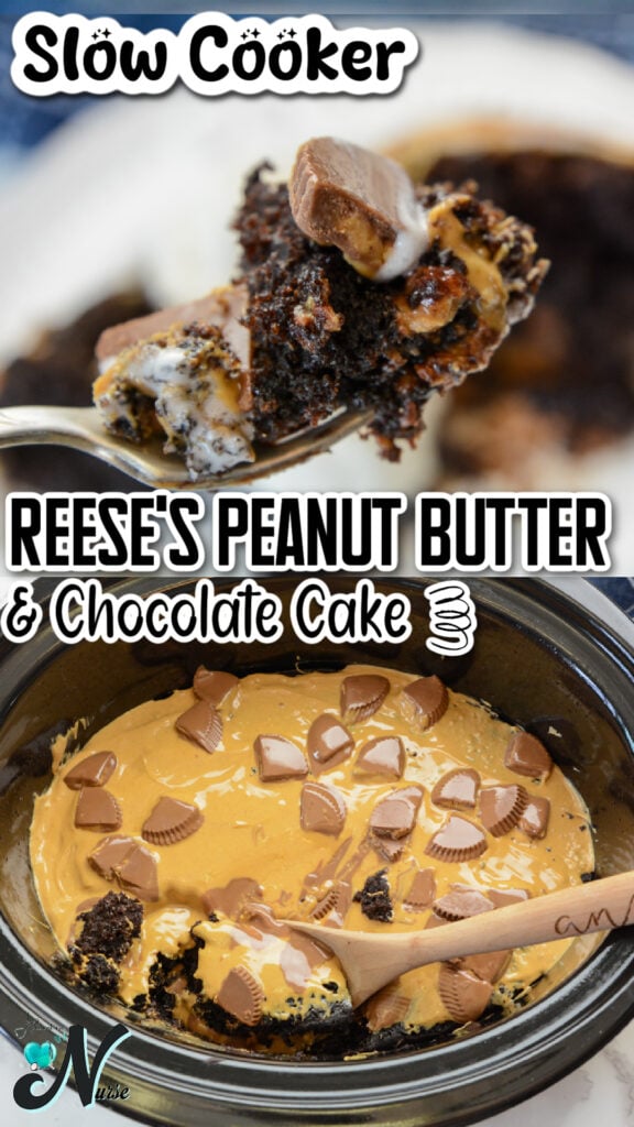 reeses peanut butter and chocolate cake pin