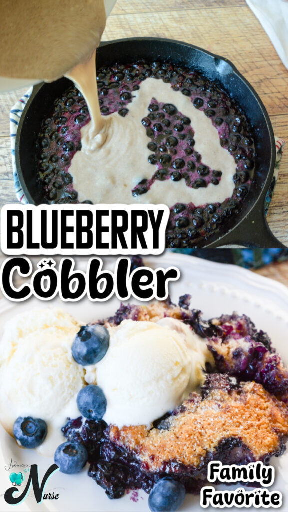 Blueberry Cobbler Pin 
