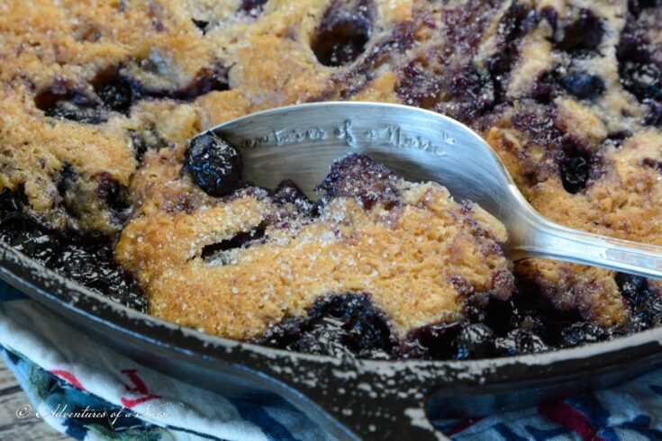 Blueberry Cobbler