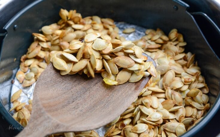 Air Fryer Roasted Pumpkin Seeds