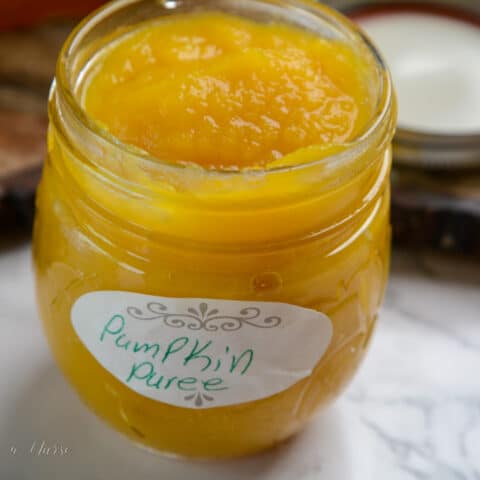 Pumpkin Puree
