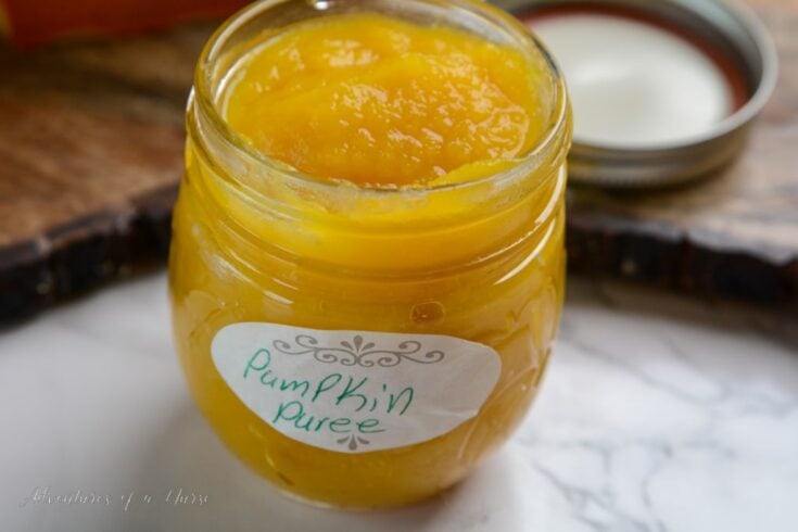 Pumpkin Puree