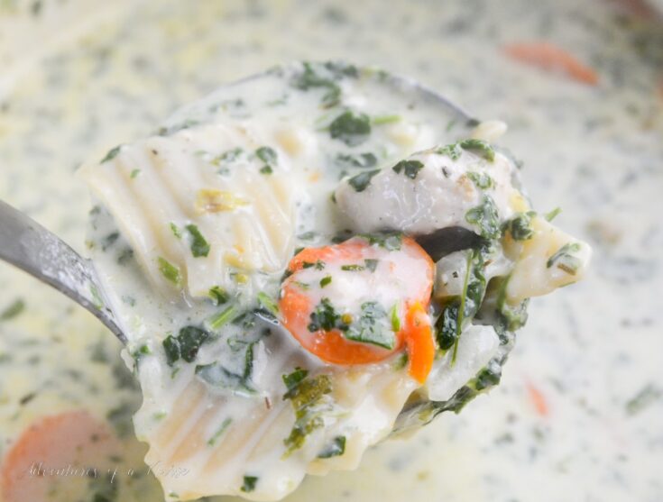 White chicken Lasagna Soup