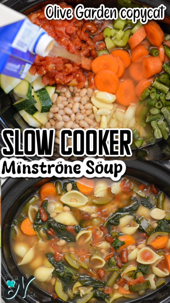 Minestrone Soup