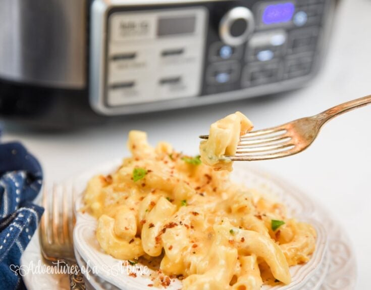 Slow Cooker mac and cheese