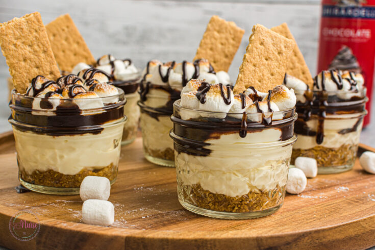 Smores no bake cheesecake recipe