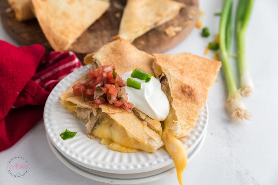 Quick and Easy Air Fryer Quesadilla Adventures of a Nurse
