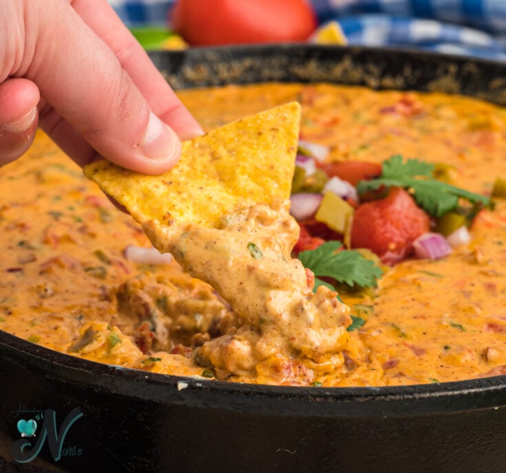 Queso Dip on Chip