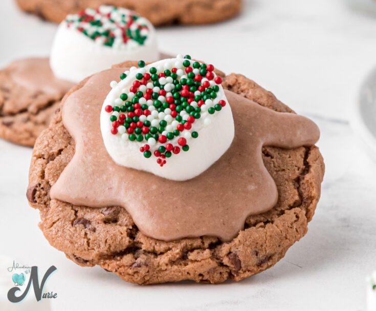 cocoa-cookie