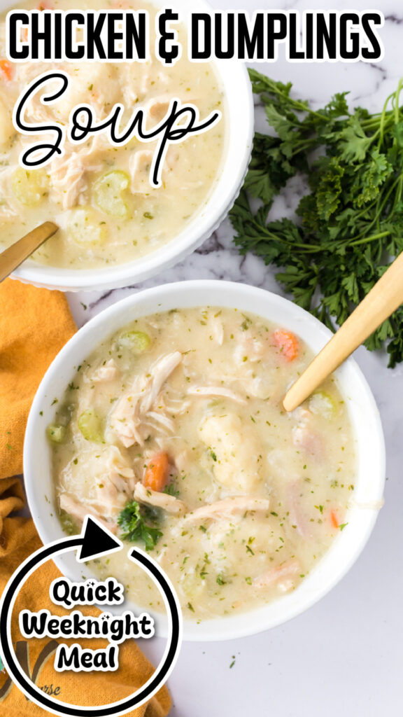 Chicken and Dumpling Soup
