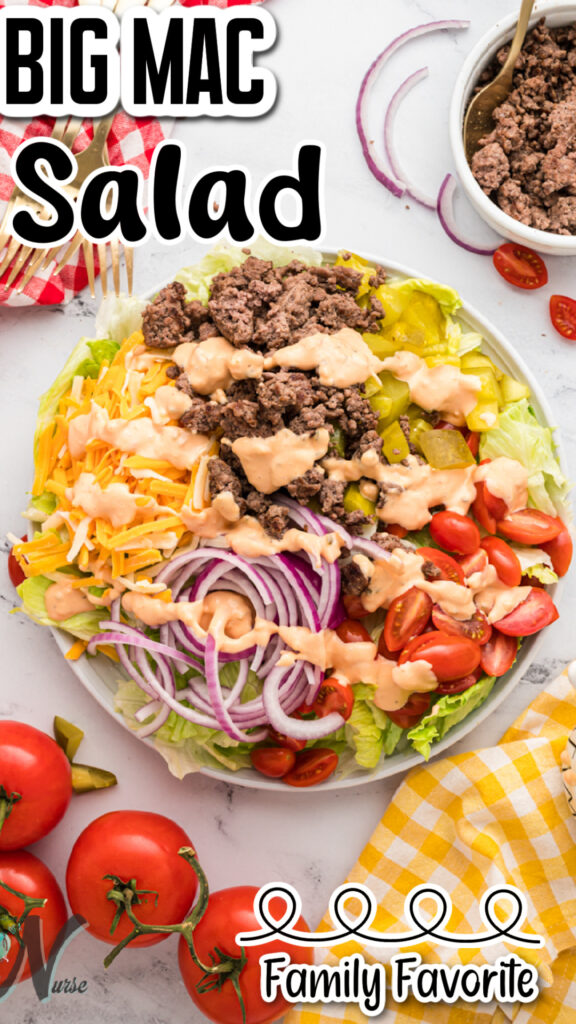Big Mac Salad Pin