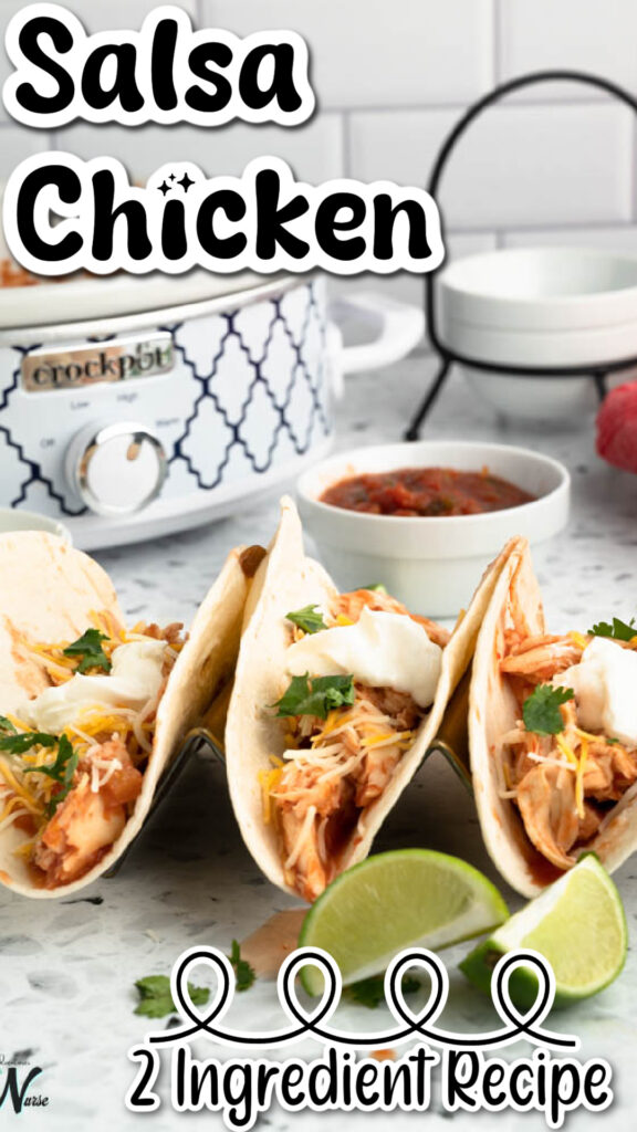salsa chicken pin