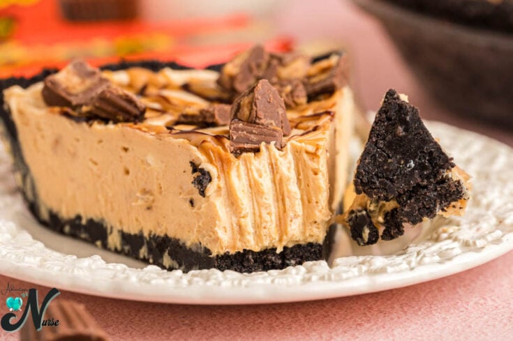 slice-of-peanut-butter-pie