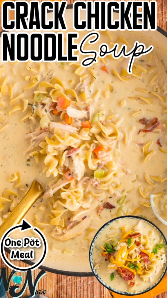 Crack Chicken Noodle Soup in pan