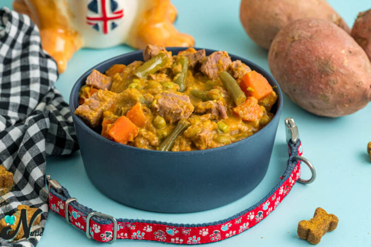 crockpot-dog-food.