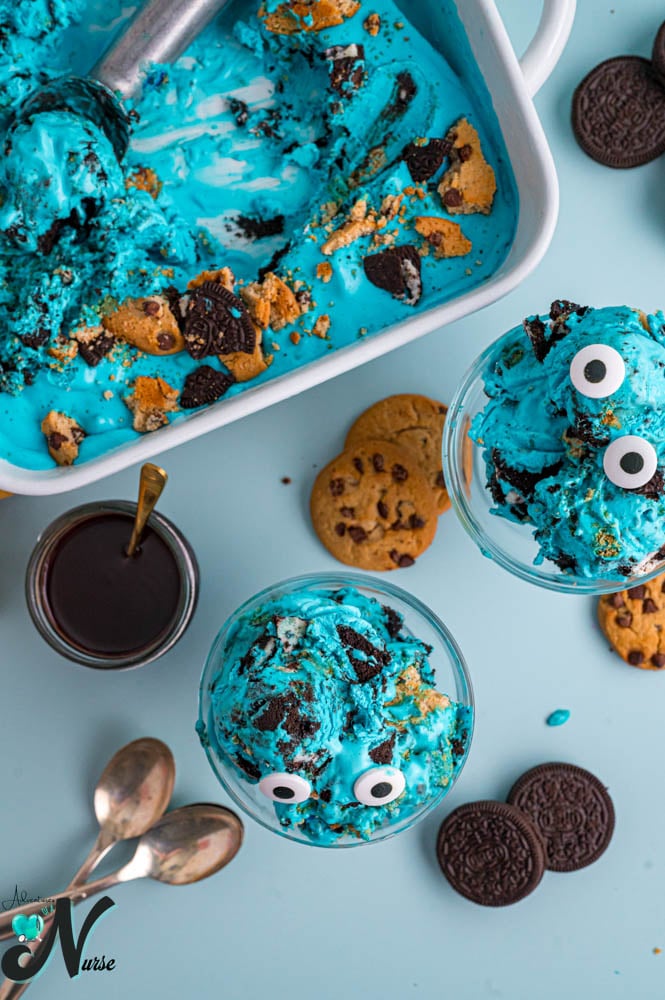 overhead-photo-of-cookie-monster-icecream.
