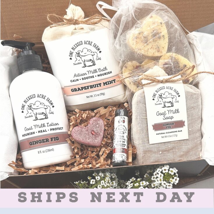 Image for Gift Set Goat Milk Skincare, Self Care Gift Box