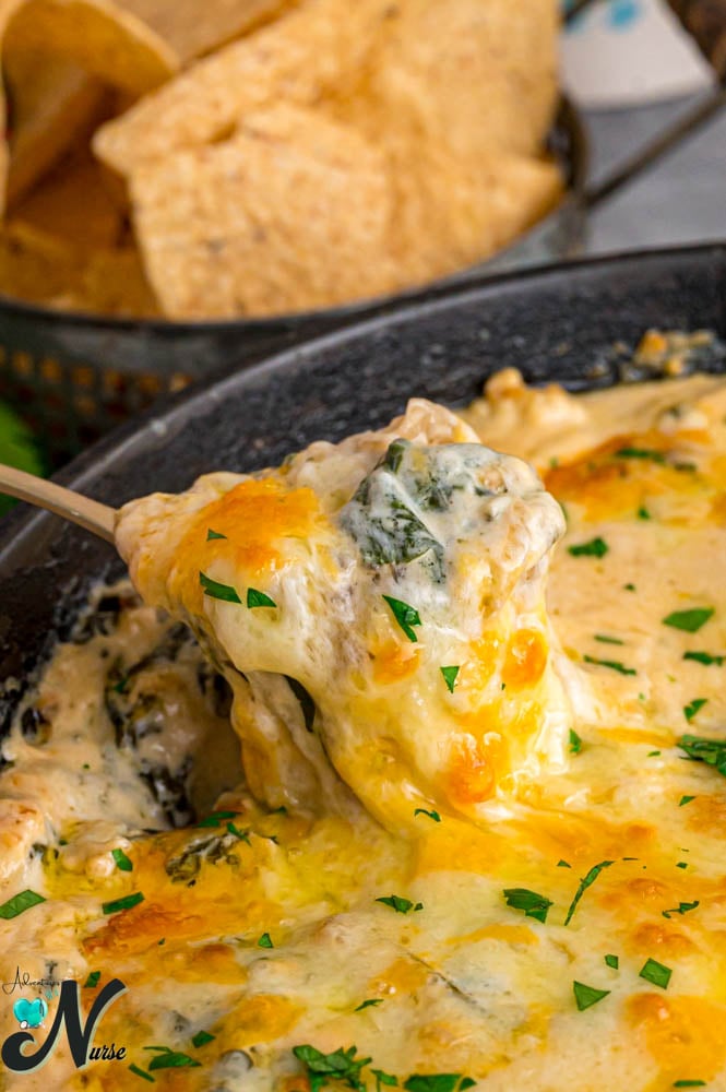caramelized-onion-spinach-dip-on-spoon-