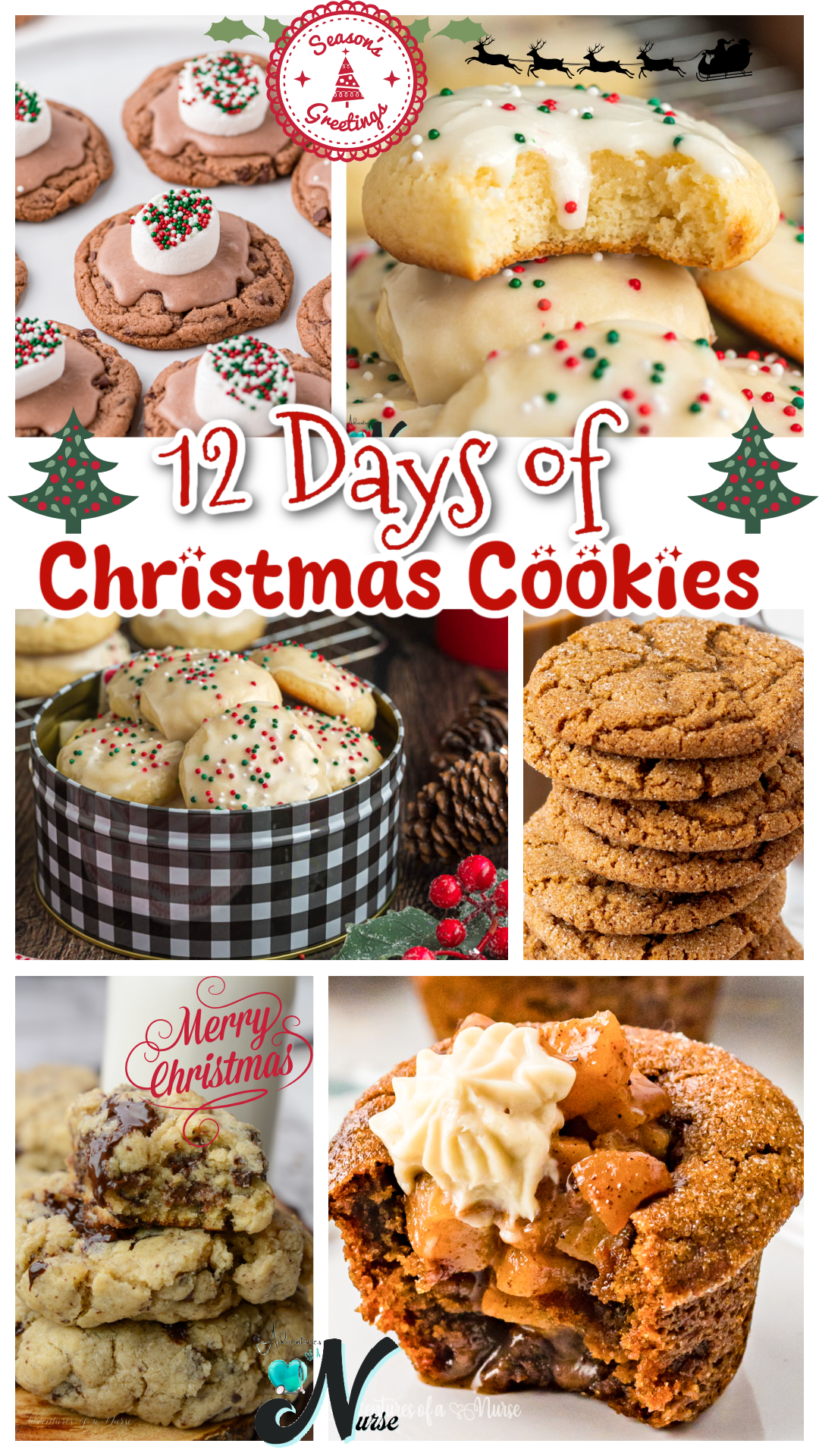 12 Days of Christmas Cookies