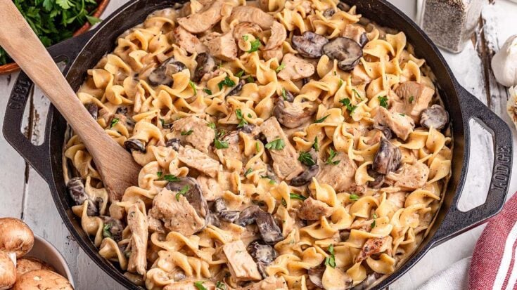 Image for Leftover Turkey Stroganoff