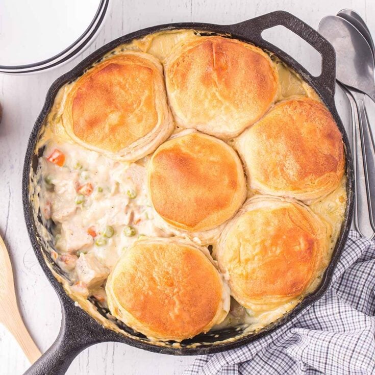 Image for Turkey Biscuit Stew