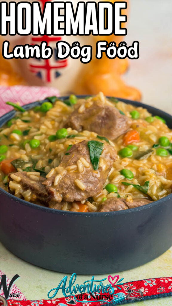homemade lamb dog food pin