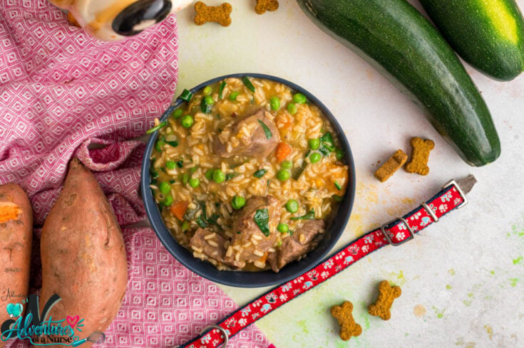 Homemade lamb dog food recipe with brown rice, sweet potatoes, carrots, peas, and zucchini served in a black bowl.