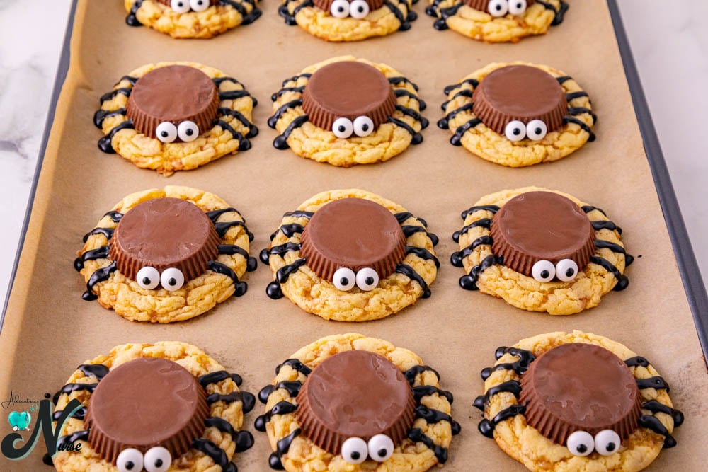 spider cake cookies resting
