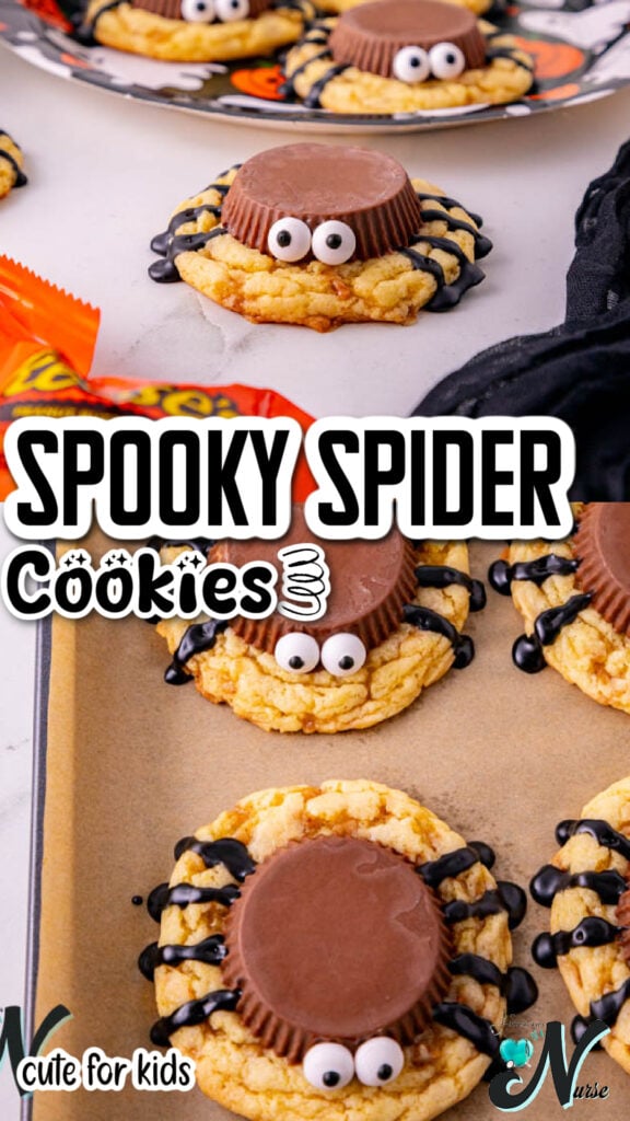spooky spider cookies